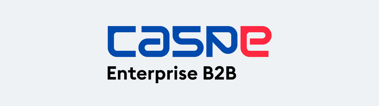 CASPE Enterprise (Programme B2B)