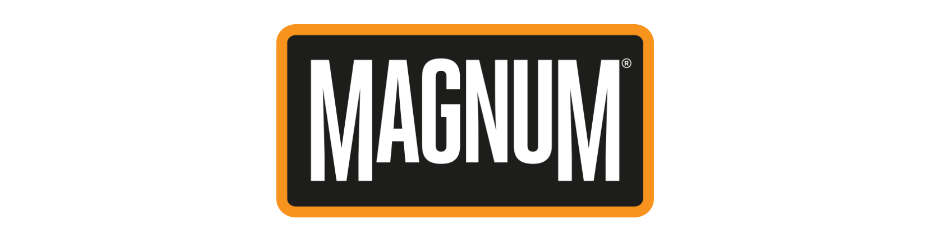 Texte alternatif de l'image
