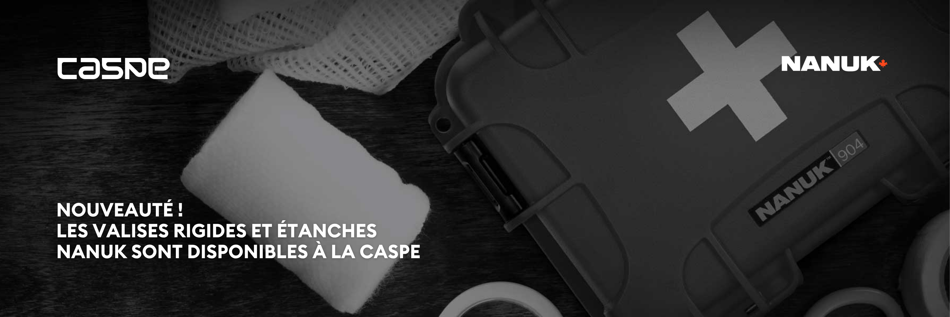 Texte alternatif de l'image