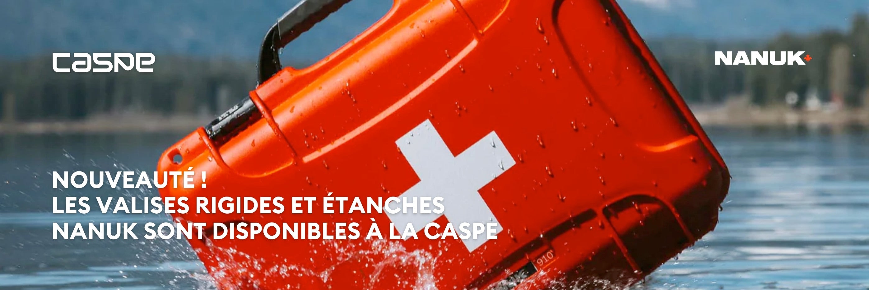 Texte alternatif de l'image